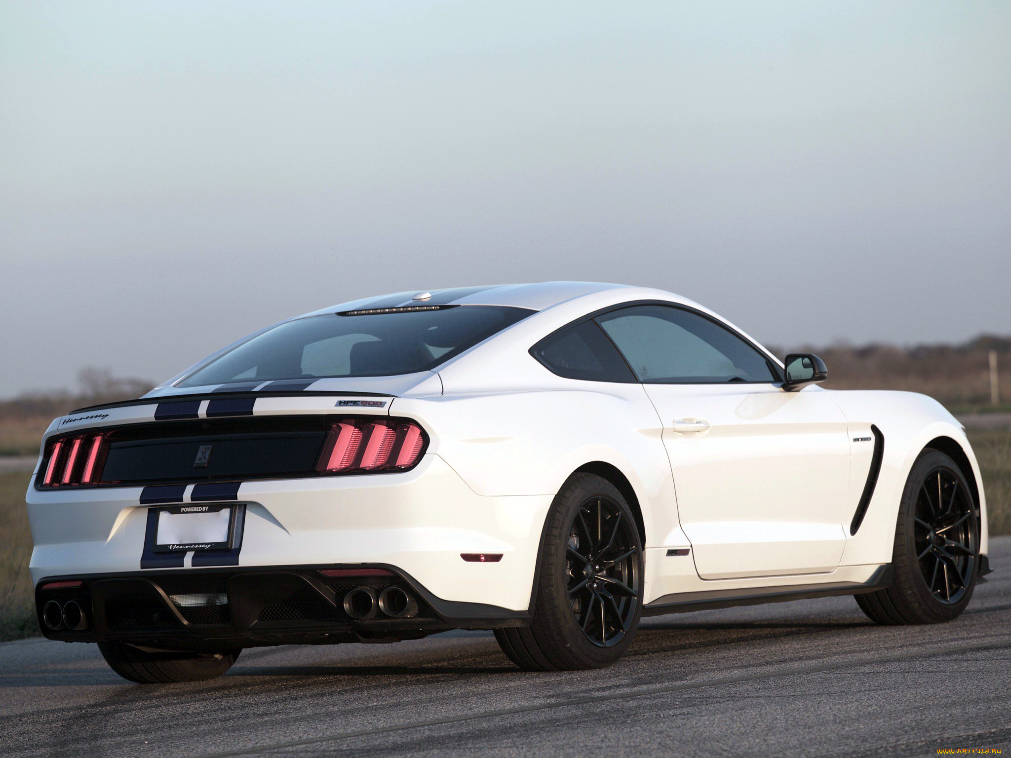 , mustang
